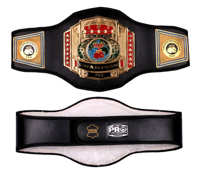 Pro Platinum Championship Belt